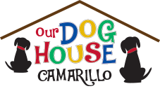 Our Dog House Camarillo