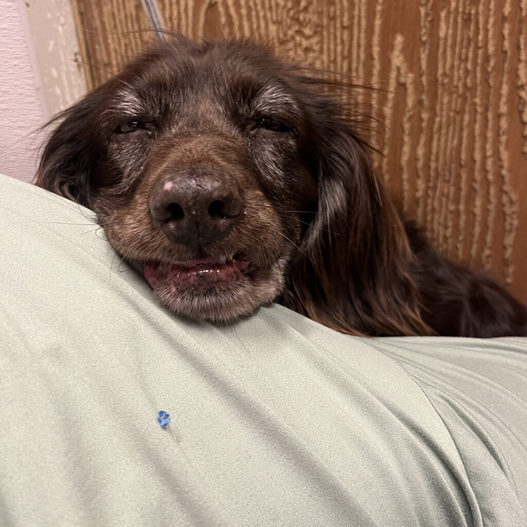 A Good Nights Sleep