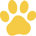 Dog House Camarillo Yellow Paw Icon